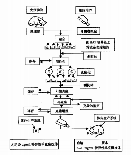 0a03decd0c46d0553bbd4a1a6174e19