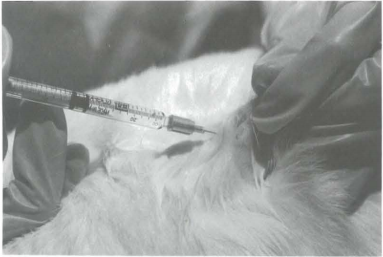 ad7c4d1c01a774f8eb15606d6dd11b8