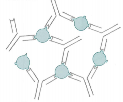 7be6bb3e2fd0ffeac9b0c638be03007